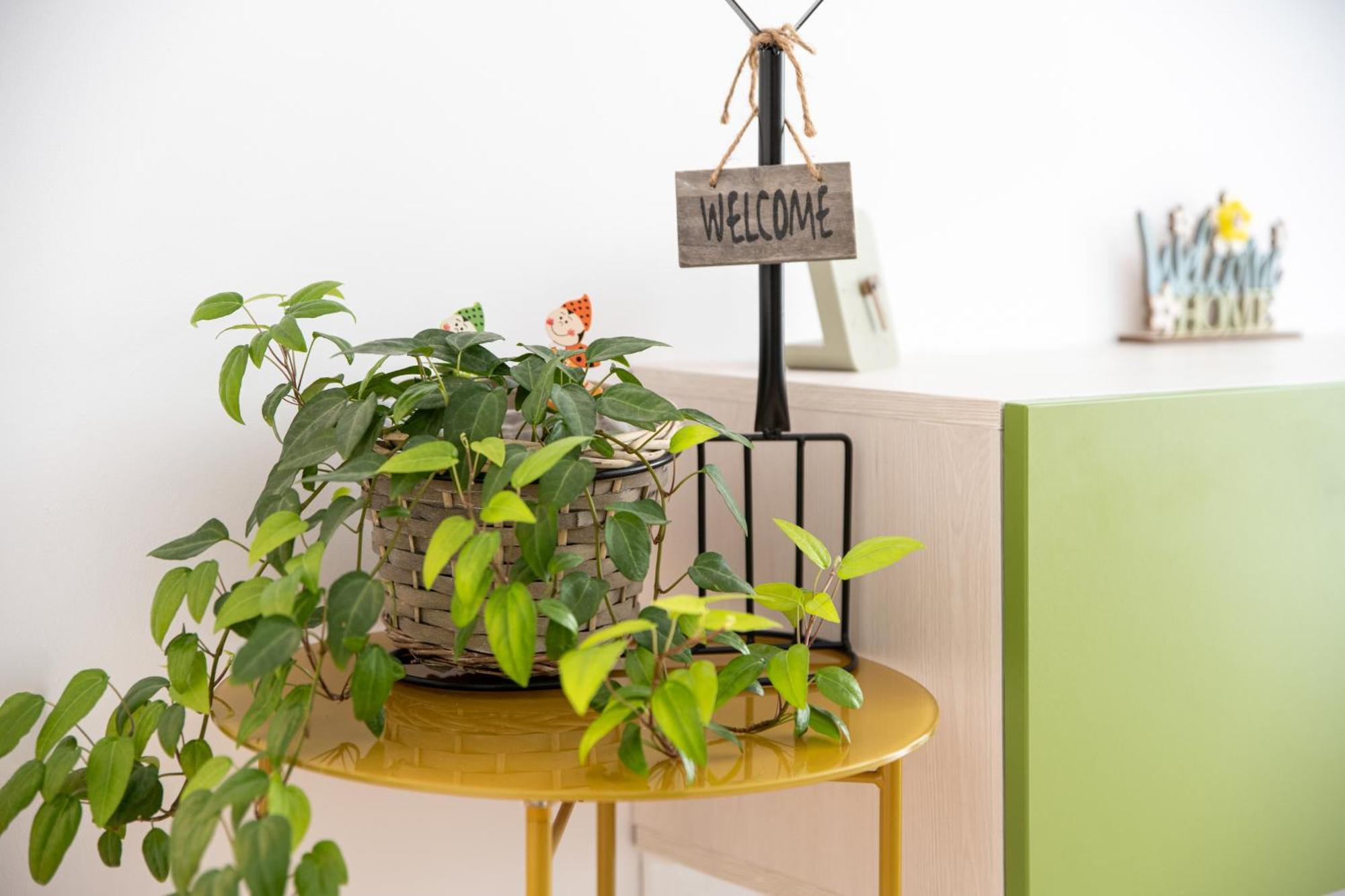 Springhome - Cozy Apartment With Balcony & Parking Brasov Bagian luar foto