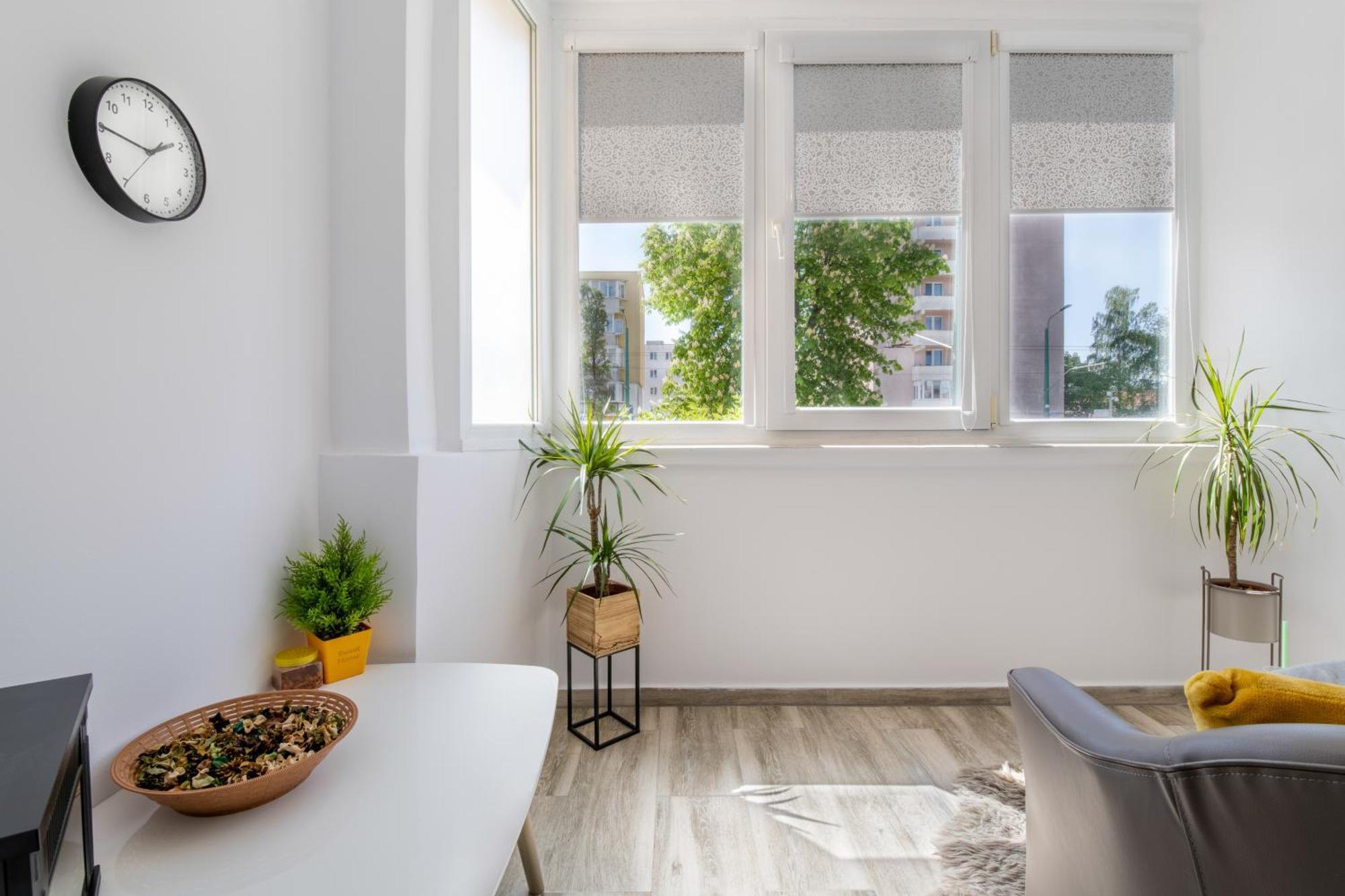 Springhome - Cozy Apartment With Balcony & Parking Brasov Bagian luar foto